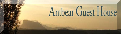 Antbear Guest House